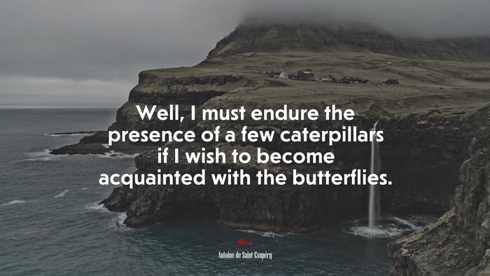 Well, I must endure the presence of a few caterpillars if I wish to become acquainted with the butterflies. | Antoine de Saint-Exupéry quote