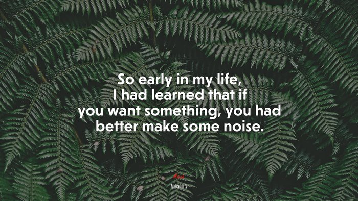 So early in my life, I had learned that if you want something, you had better make some noise. | Malcolm X quote
