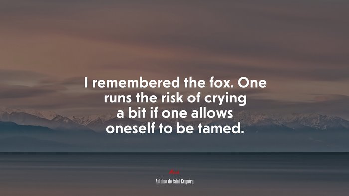 I remembered the fox. One runs the risk of crying a bit if one allows oneself to be tamed. | Antoine de Saint-Exupéry quote