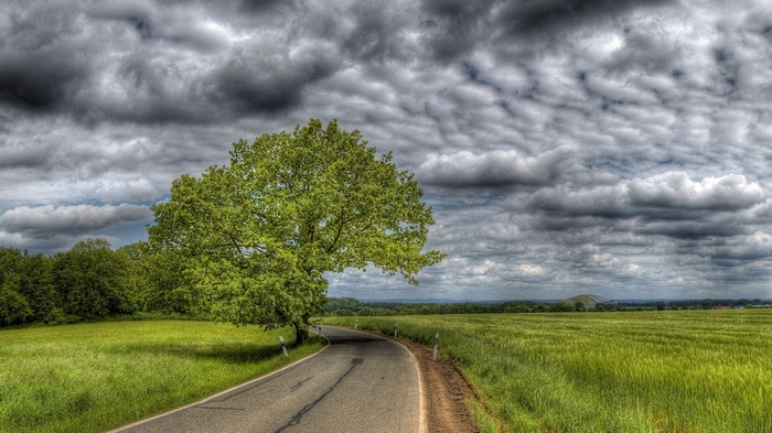 A winding road through green fields under a cloudy sky