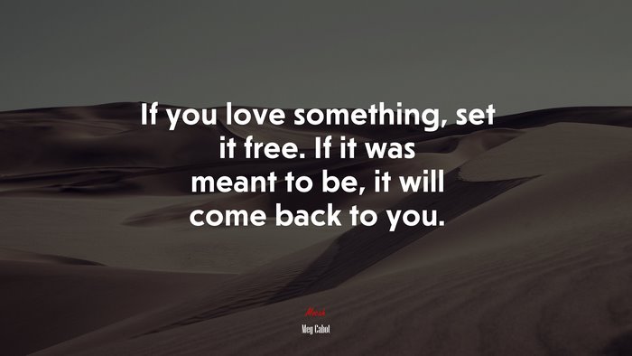If you love something, set it free. If it was meant to be, it will come back to you. | Meg Cabot quote