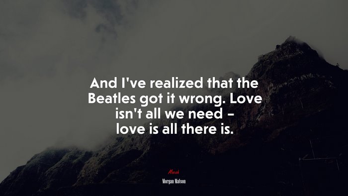 And I’ve realized that the Beatles got it wrong. Love isn’t all we need – love is all there is. | Morgan Matson quote