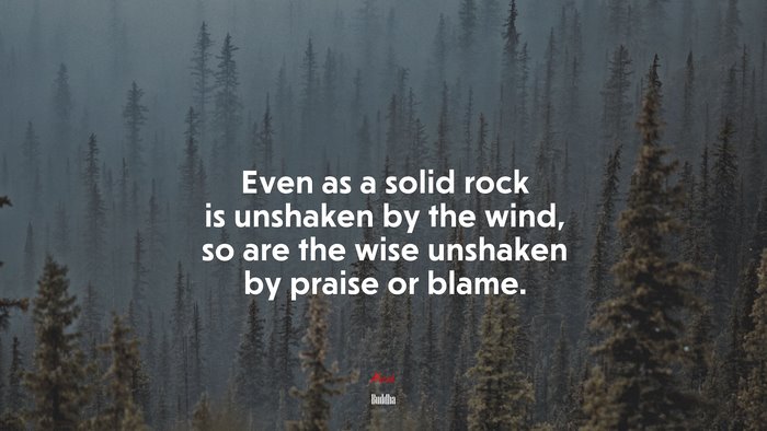 Even as a solid rock is unshaken by the wind, so are the wise unshaken by praise or blame. | Buddha quote
