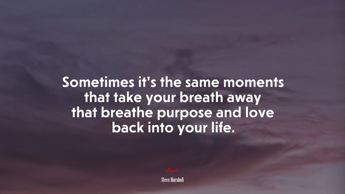 Sometimes it’s the same moments that take your breath away that breathe purpose and love back into your life. | Steve Maraboli quote