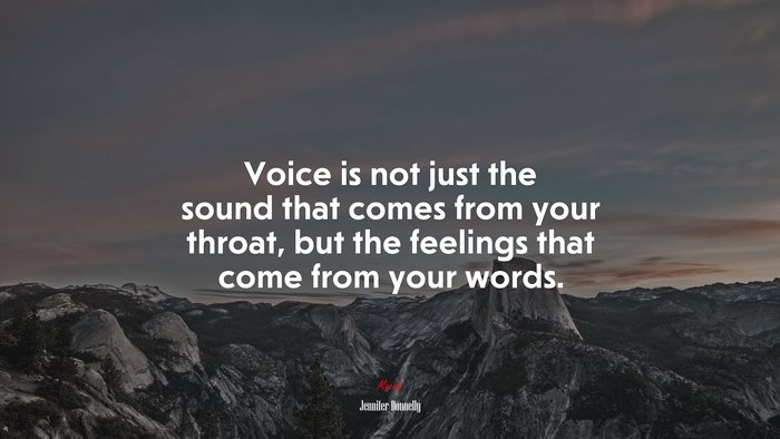Voice is not just the sound that comes from your throat, but the feelings that come from your words. | Jennifer Donnelly quote
