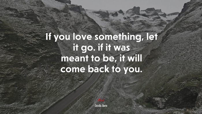 If you love something, let it go. if it was meant to be, it will come back to you. | Cecelia Ahern quote