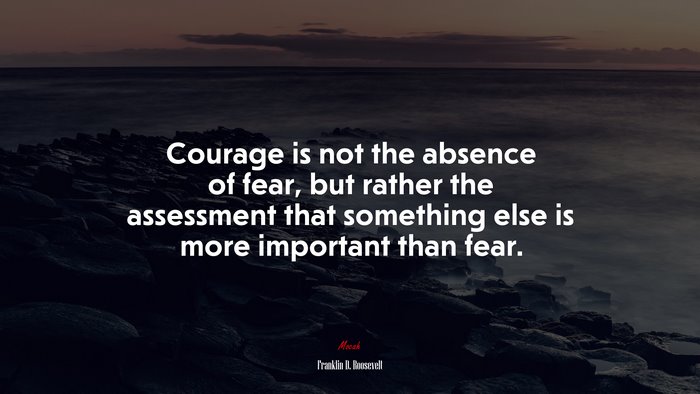 Courage is not the absence of fear, but rather the assessment that something else is more important than fear. | Franklin D. Roosevelt quote