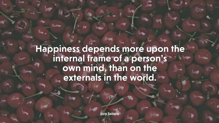 Happiness depends more upon the internal frame of a persons own mind, than on the externals in the world. | George Washington quote