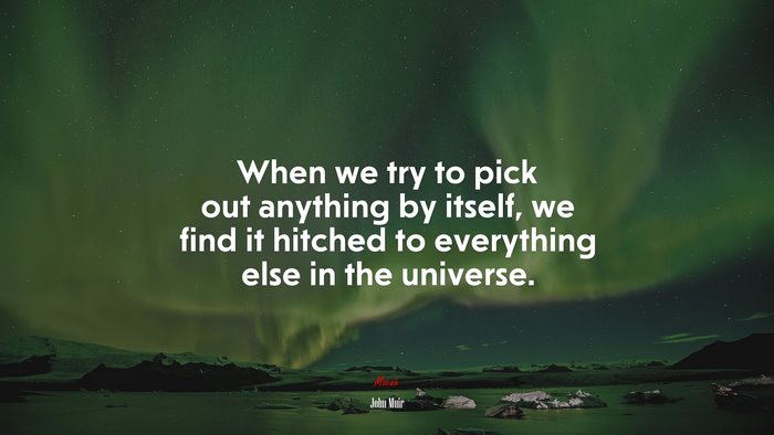 When we try to pick out anything by itself, we find it hitched to everything else in the universe. | John Muir quote