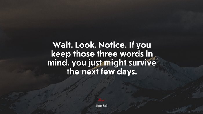 Wait. Look. Notice. If you keep those three words in mind, you just might survive the next few days. | Michael Scott quote