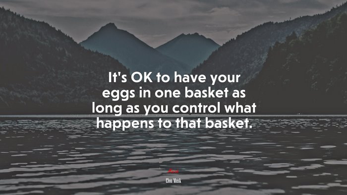 It’s OK to have your eggs in one basket as long as you control what happens to that basket. | Elon Musk quote