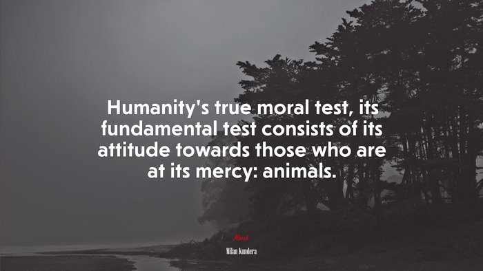 Humanity’s true moral test, its fundamental test consists of its attitude towards those who are at its mercy: animals. | Milan Kundera quote