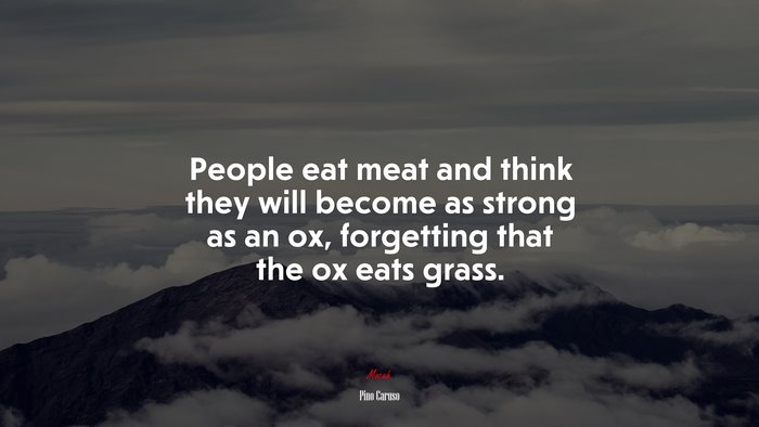 People eat meat and think they will become as strong as an ox, forgetting that the ox eats grass. | Pino Caruso quote