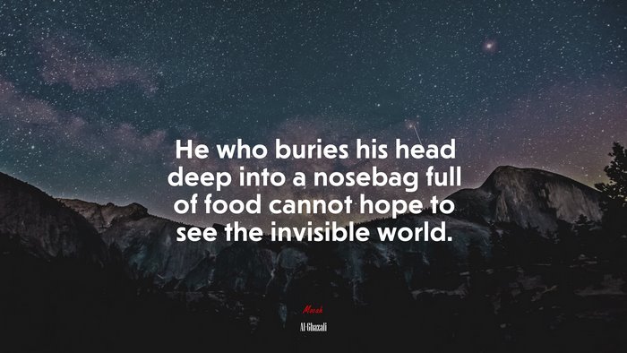 He who buries his head deep into a nosebag full of food cannot hope to see the invisible world. | Al-Ghazali quote