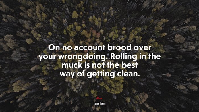 On no account brood over your wrongdoing. Rolling in the muck is not the best way of getting clean. | Aldous Huxley quote
