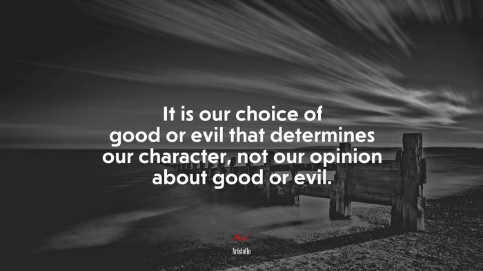 It is our choice of good or evil that determines our character, not our opinion about good or evil. | Aristotle quote