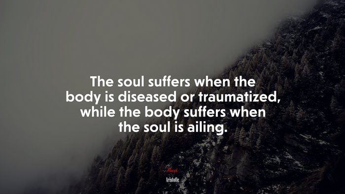 The soul suffers when the body is diseased or traumatized, while the body suffers when the soul is ailing. | Aristotle quote