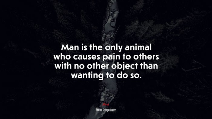 Man is the only animal who causes pain to others with no other object than wanting to do so. | Arthur Schopenhauer quote