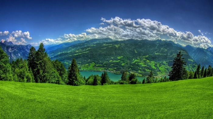 Panoramic view of a green meadow and mountains