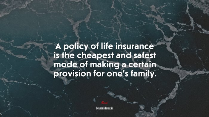 A policy of life insurance is the cheapest and safest mode of making a certain provision for one’s family. | Benjamin Franklin quote