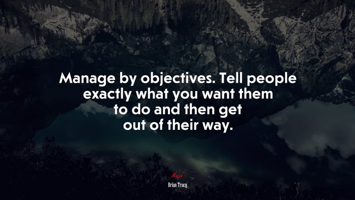 Manage by objectives. Tell people exactly what you want them to do and then get out of their way. | Brian Tracy quote
