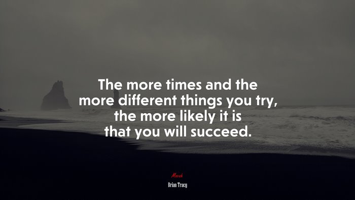 The more times and the more different things you try, the more likely it is that you will succeed. | Brian Tracy quote