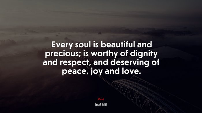 Every soul is beautiful and precious; is worthy of dignity and respect, and deserving of peace, joy and love. | Bryant McGill quote