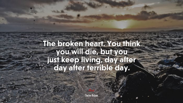 The broken heart. You think you will die, but you just keep living, day after day after terrible day. | Charles Dickens quote
