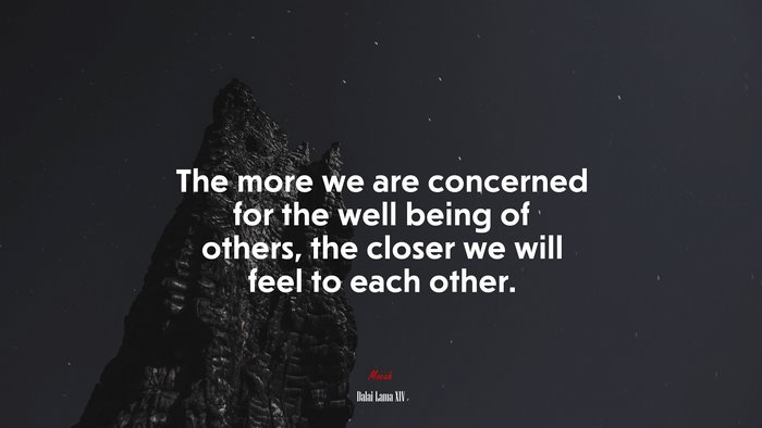 The more we are concerned for the well being of others, the closer we will feel to each other. | Dalai Lama XIV quote