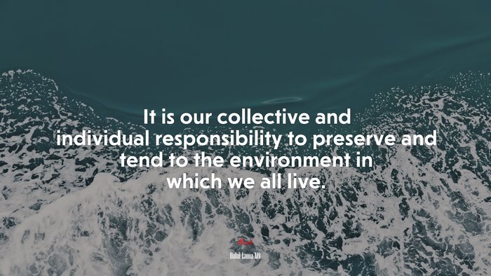 It is our collective and individual responsibility to preserve and tend to the environment in which we all live. | Dalai Lama XIV quote