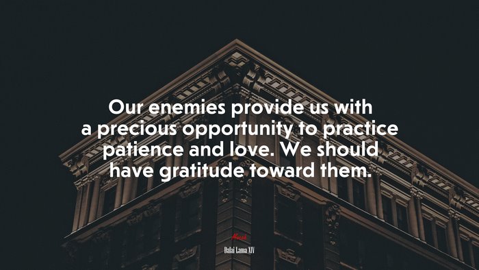 Our enemies provide us with a precious opportunity to practice patience and love. We should have gratitude toward them. | Dalai Lama XIV quote