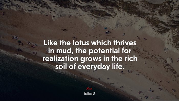 Like the lotus which thrives in mud, the potential for realization grows in the rich soil of everyday life. | Dalai Lama XIV quote