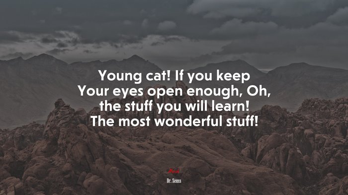 Young cat! If you keep Your eyes open enough, Oh, the stuff you will learn! The most wonderful stuff! | Dr. Seuss quote