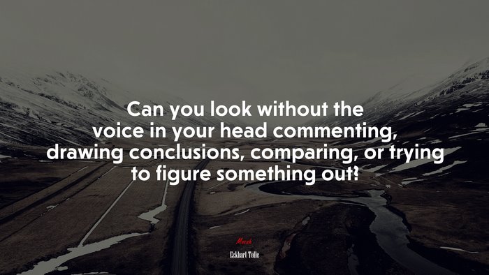 Can you look without the voice in your head commenting, drawing conclusions, comparing, or trying to figure something out? | Eckhart Tolle quote