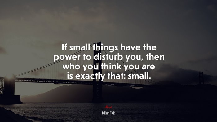 If small things have the power to disturb you, then who you think you are is exactly that: small. | Eckhart Tolle quote