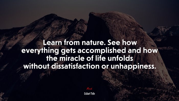 Learn from nature. See how everything gets accomplished and how the miracle of life unfolds without dissatisfaction or unhappiness. | Eckhart Tolle quote