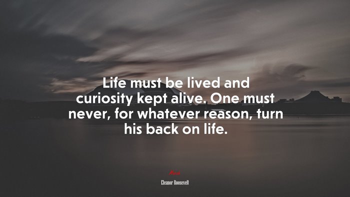 Life must be lived and curiosity kept alive. One must never, for whatever reason, turn his back on life. | Eleanor Roosevelt quote