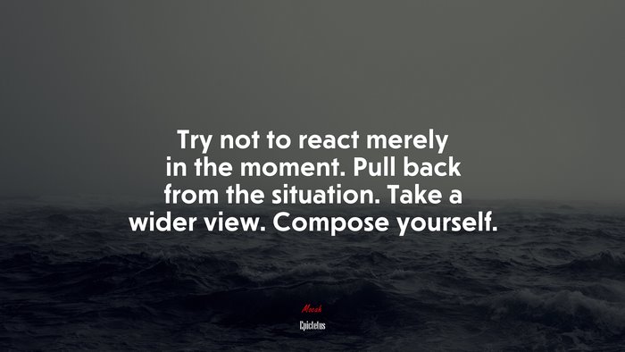 Try not to react merely in the moment. Pull back from the situation. Take a wider view. Compose yourself. | Epictetus quote