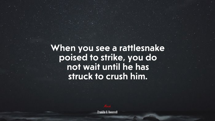 When you see a rattlesnake poised to strike, you do not wait until he has struck to crush him. | Franklin D. Roosevelt quote