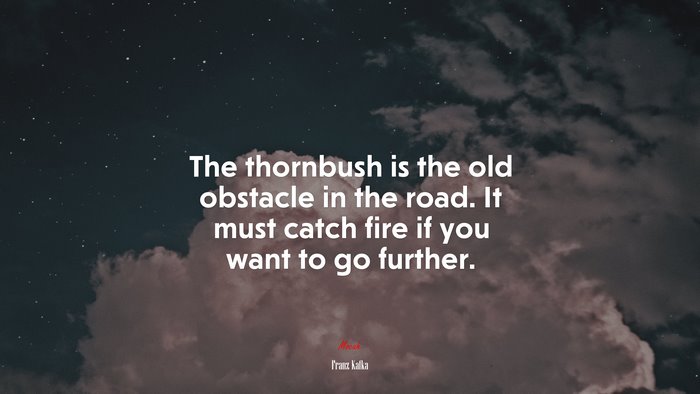 The thornbush is the old obstacle in the road. It must catch fire if you want to go further. | Franz Kafka quote