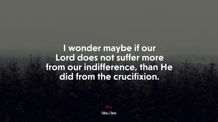I wonder maybe if our Lord does not suffer more from our indifference, than He did from the crucifixion. | Fulton J. Sheen quote