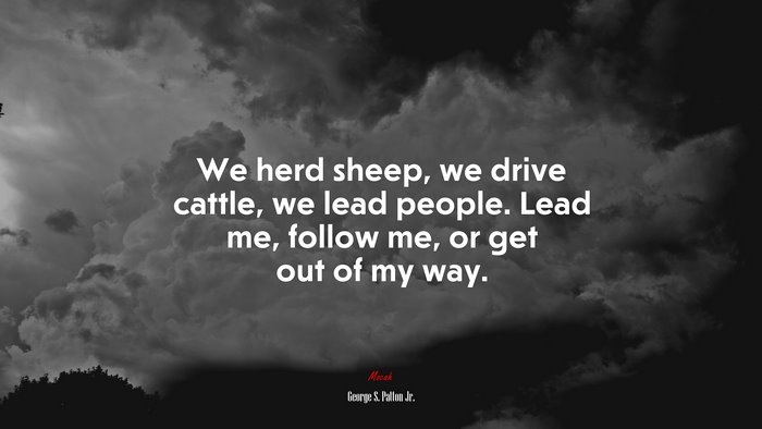 We herd sheep, we drive cattle, we lead people. Lead me, follow me, or get out of my way. | George S. Patton Jr. quote