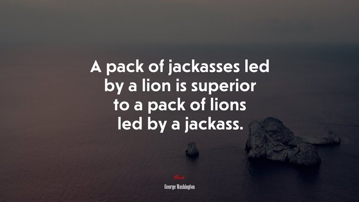 A pack of jackasses led by a lion is superior to a pack of lions led by a jackass. | George Washington quote