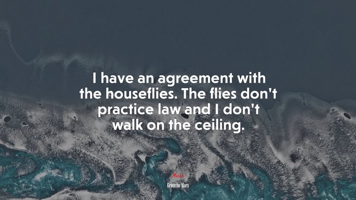 I have an agreement with the houseflies. The flies don’t practice law and I don’t walk on the ceiling. | Groucho Marx quote