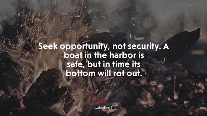 Seek opportunity, not security. A boat in the harbor is safe, but in time its bottom will rot out. | H. Jackson Brown Jr. quote