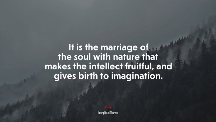 It is the marriage of the soul with nature that makes the intellect fruitful, and gives birth to imagination. | Henry David Thoreau quote