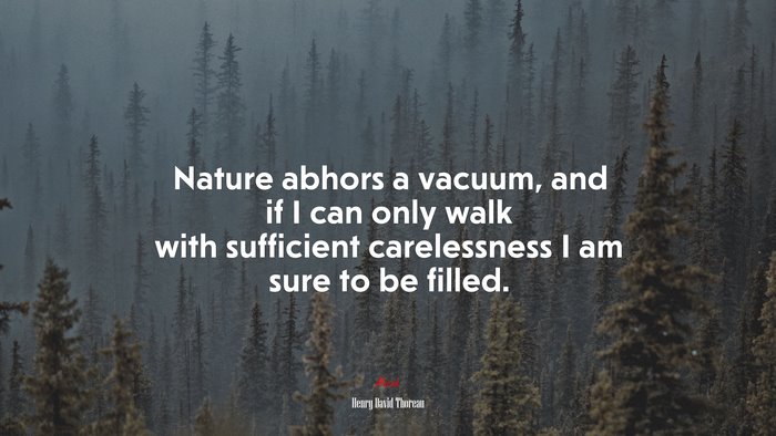Nature abhors a vacuum, and if I can only walk with sufficient carelessness I am sure to be filled. | Henry David Thoreau quote