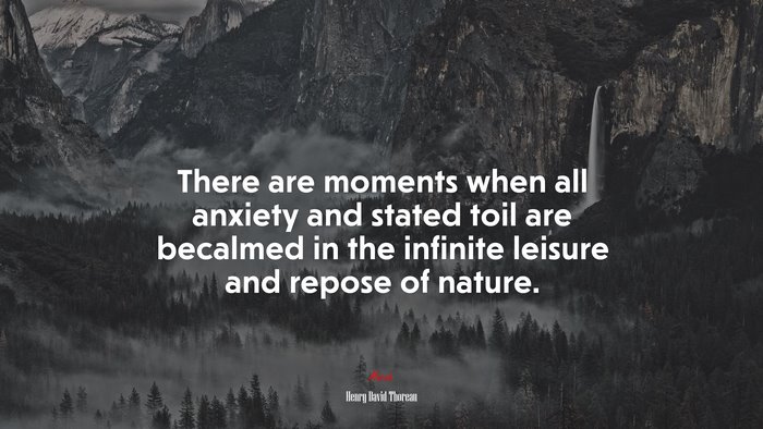 There are moments when all anxiety and stated toil are becalmed in the infinite leisure and repose of nature. | Henry David Thoreau quote