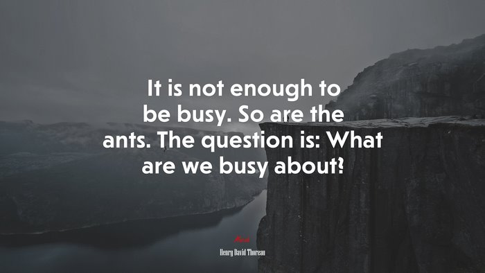 It is not enough to be busy. So are the ants. The question is: What are we busy about? | Henry David Thoreau quote