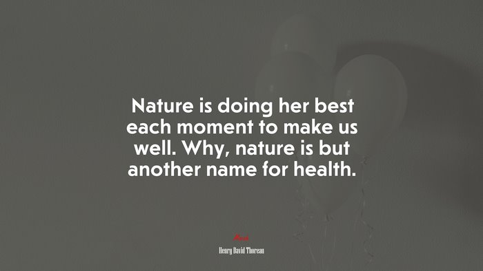 Nature is doing her best each moment to make us well. Why, nature is but another name for health. | Henry David Thoreau quote